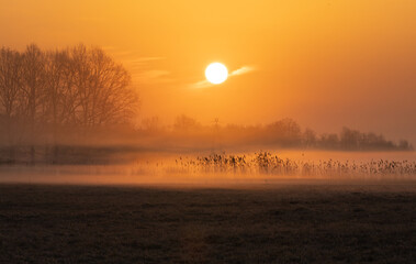 chmurka przechodzącą przez słońce podczas wschodu słońca © mateusz
