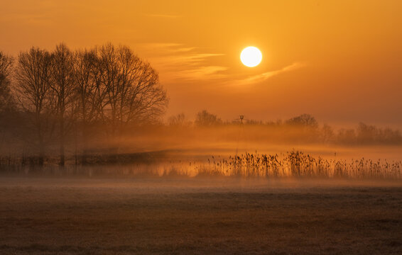 Fototapeta wschód słońca ze spektakularnymi mgłami pośród traw