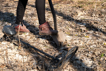 treasure hunt in the spring forest with a metal detector