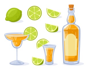 Tequila bottle, shot, glass with tequila and lime. Mexican traditional alcoholic drink. Vector illustration in cartoon style. Lime whole, slice, cut