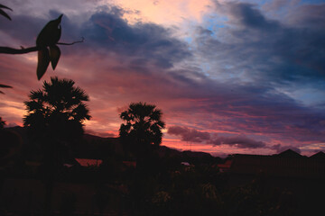 Naklejka na ściany i meble Palm tree silhouettes framing the dramatic sunset sky in Kampot, Cambodia
