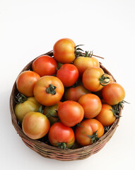 Fresh tomatoes Harvesting tomatoes