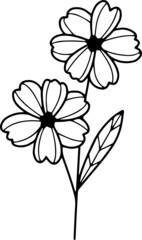 botanical; botany; collection; cute; decor; eucalyptus; fern; floral; flower; foliage; greenery; herb; herbal; illustration; leaf; spring, card, marriage,