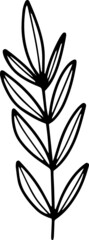 botanical; botany; collection; cute; decor; eucalyptus; fern; floral; flower; foliage; greenery; herb; herbal; illustration; leaf; spring, card, marriage,
