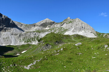 Fototapeta na wymiar alpine meadow in the mountains