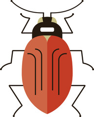 Beetle Colored Illustration