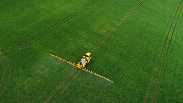 Aerial view of yellow tractor working in green fields. Tractor is spraying water or fertilisers on wheat, cereals, rye or cornflakes. Process is part of farming and growing food for mass consumption.