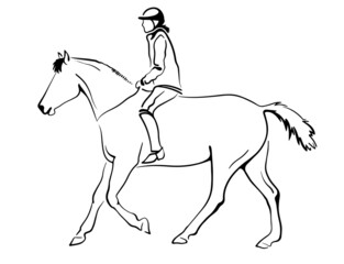 Fototapeta na wymiar horse and rider
