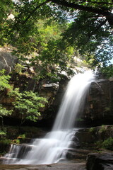 Fototapeta premium waterfall