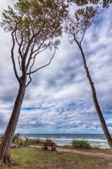 Im Gespensterwald in Nienhagen an der Ostseek&uuml;ste in Mecklenburg-Vorpommern