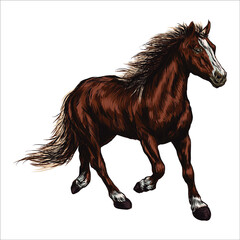 Brown horse running in a field. Horse racing or equestrian sporting symbol