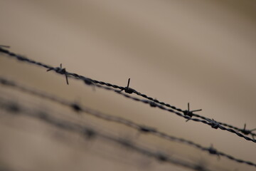 Rusty, partial blurred  barbed wire in a row.