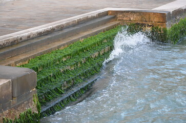Steps leading to the water.