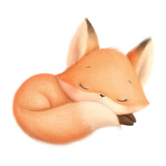 Illustration of a cute cartoon little fox sleeping. Cute animals.