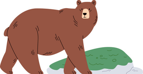 Brown Bear Cartoon Illustration