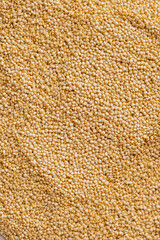 texture of amaranth porridge