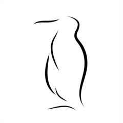 Vector illustration of penguin painted with simple lines. Symbol of wild animal and Antarctica.