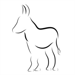 Vector illustration of donkey painted with simple lines. Symbol of cattle and farm animal.