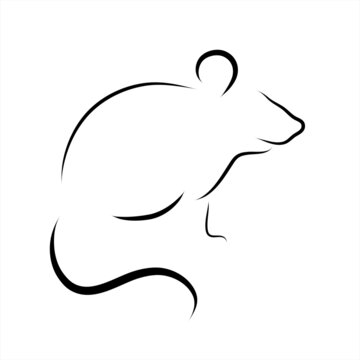Vector illustration of rat painted with simple lines. Symbol of rodent and wild animal.