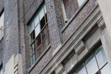 Fototapeta premium rock pigeon on a ledge of an old manufacturing building