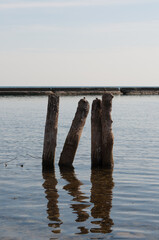 old piers on the beach