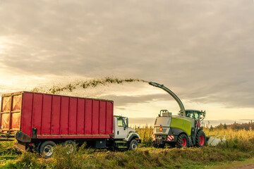 A harvester and a box truck gathering a field of grain with view of the ocean, Cavendish, Prince Edward Island, Canada