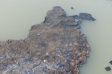 scum on the surface of a sewage pond