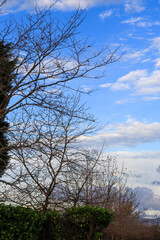 Autumn, southern highlands NSW