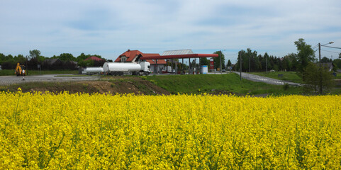 Transport infrastructure, rapeseed field in front of a gas station ...