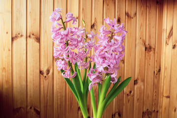 Hyacinth flowers, close-up, bright, beautiful, you can see the pistil and stamens, it looks like an abstract painting