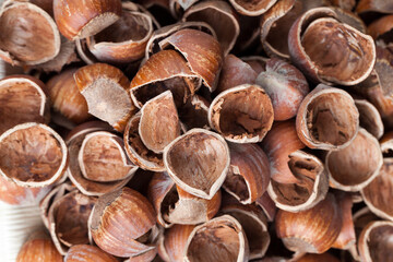 hazelnuts peeled from the shell