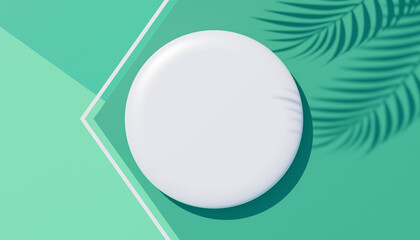 3d render top view of white blank cylinder frame for mock up and display products with shadows of palm leaves, earth tone, and pastel wall background. Creative idea concept. Widow shadow.