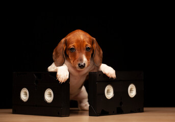 image of dog vhs tape dark background
