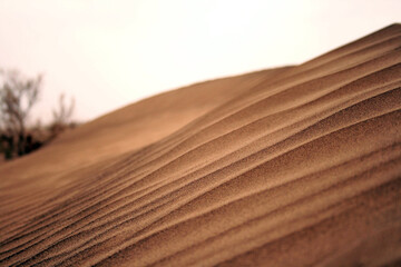 Sand dunes in the desert