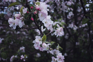 Fototapeta premium Ukraine before war