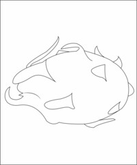 Dragon fruits coloring page line art vector art coloring book page for kids