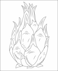 Dragon fruits coloring page line art vector art coloring book page for kids