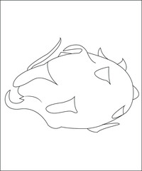 Dragon fruits coloring page line art vector art coloring book page for kids