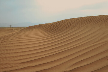 Sand dunes in the desert