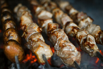 Grilled meat on charcoal, pork on skewers, campfire, juicy food, bright picture