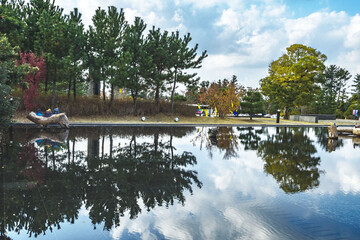 lake in the park