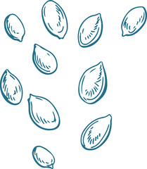 Seeds Monochrome Hand Drawn Illustration