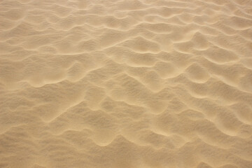 Beige sand textured background. Wavy pattern from the wind. Top view - obrazy, fototapety, plakaty