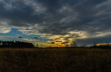 Fototapeta premium sunset behind clouds over landscape with trees and grass