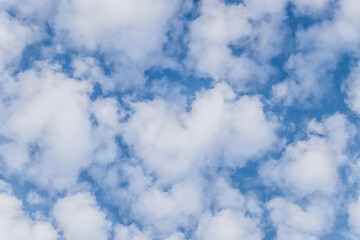 Beautiful fluffy clouds on a blue sky as a background.