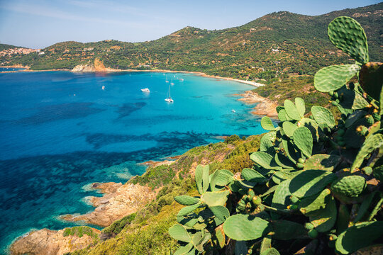 South Corsica, Turquoise Sea And Green Landscape From Above. France