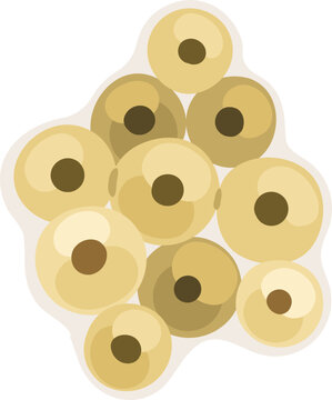 Fish or Frog Eggs Cartoon Illustration