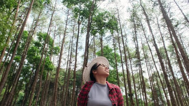 Hipster woman in straw hat and red plaid shirt is walking in a pine alley enjoying nature. Happy Asian female traveler sightseeing in pine tree garden.