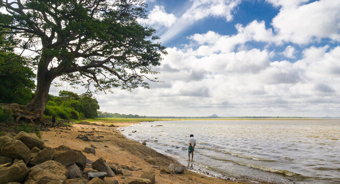 Man walking alongside Tissa Wewa lake, Sri Lanka