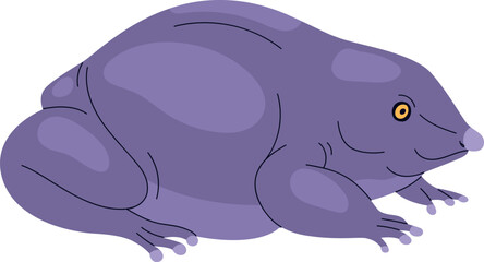 Cute Exotic Frog Colored Realistic Illustration